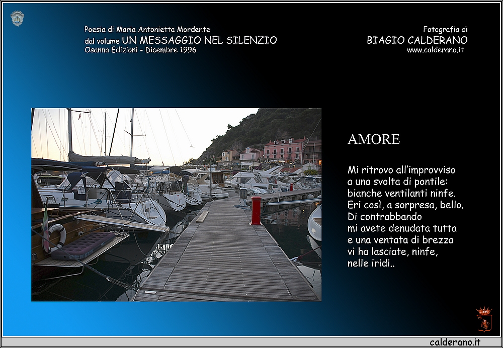 47 Amore.jpg