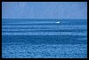020 17C_4926.JPG