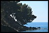 021 17C_4929.JPG