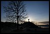 027 17C_4950.JPG