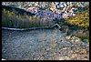 029 17C_4954.JPG