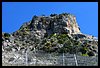 037 17D_5020.JPG