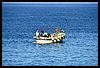 059 17H_9070.JPG