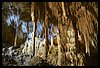 068 17L_1416.JPG