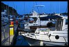 069 17L_1772.JPG