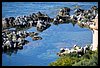 091 17R_9795.JPG