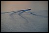 099 17R_9912.JPG