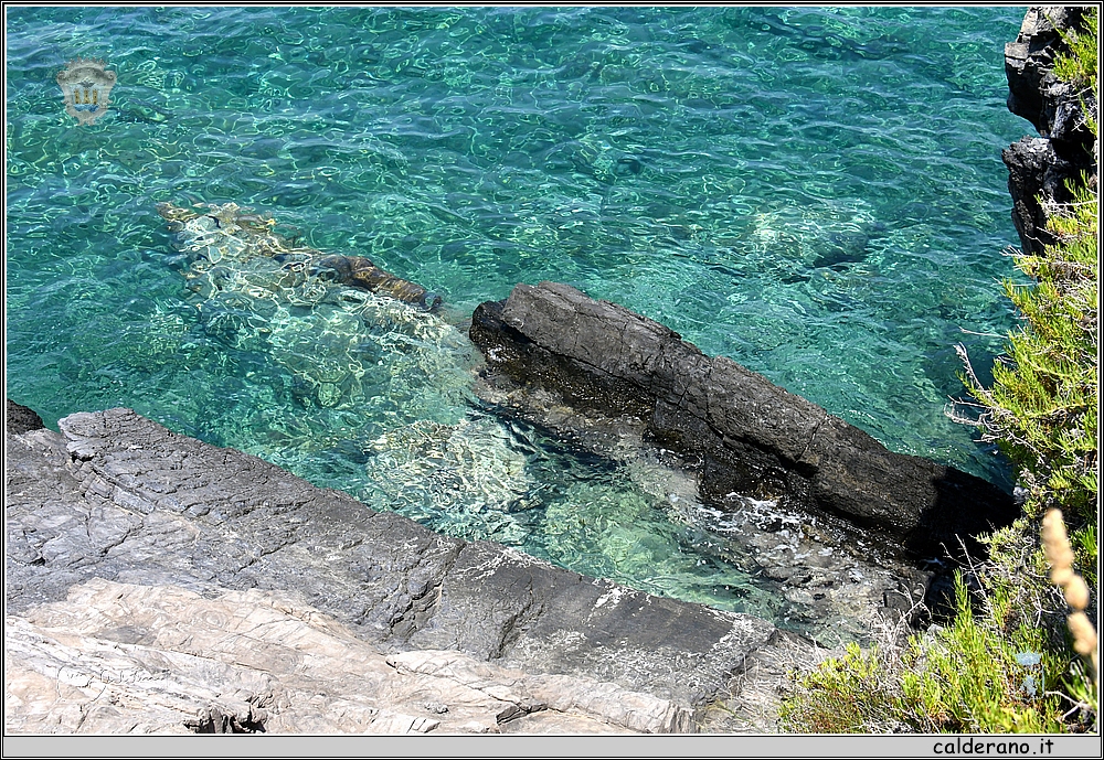 18L_4334.JPG