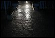 18M_8435.JPG
