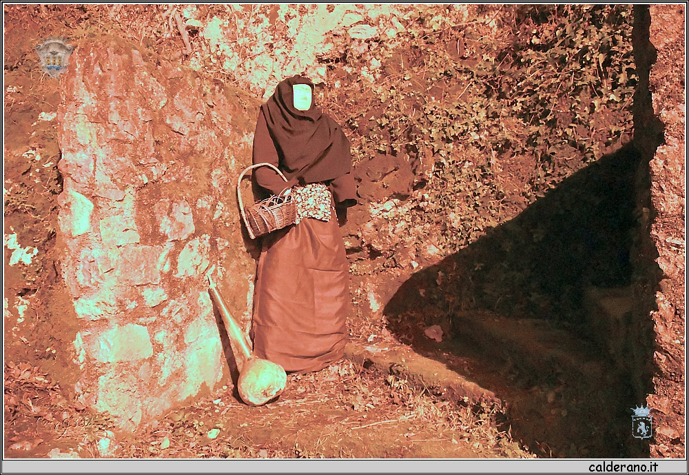 18T_2954.JPG