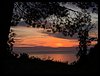 021 IMG_6322 101018.JPG