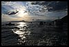 097 18H_3219 240618.JPG