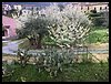 103 IMG_9348 040418.JPG