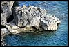 120 18D_8382 260418.JPG