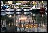 123 18L_4067 110718.JPG