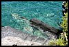 150 18L_4334 150718.JPG