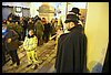 19A_4073.JPG