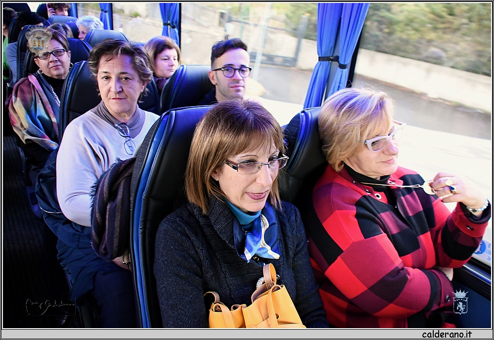 19A_4477.JPG