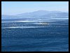 IMG_9029.JPG