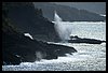 19C_5670.JPG
