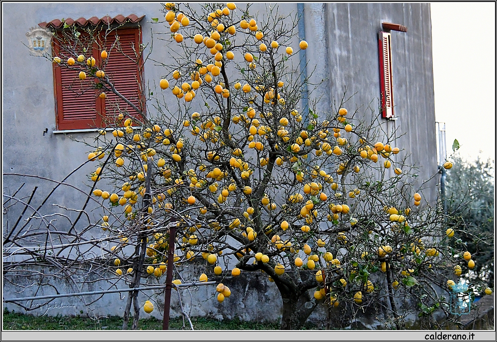 19C_5835.JPG