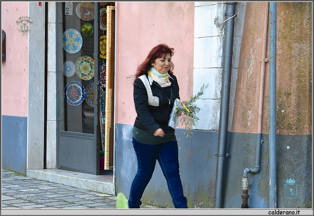 19C_6242.JPG