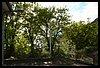 19D_6303.JPG
