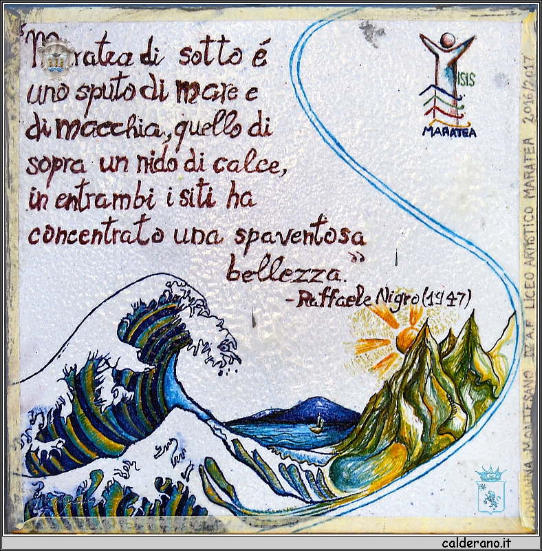 19D_6505.JPG