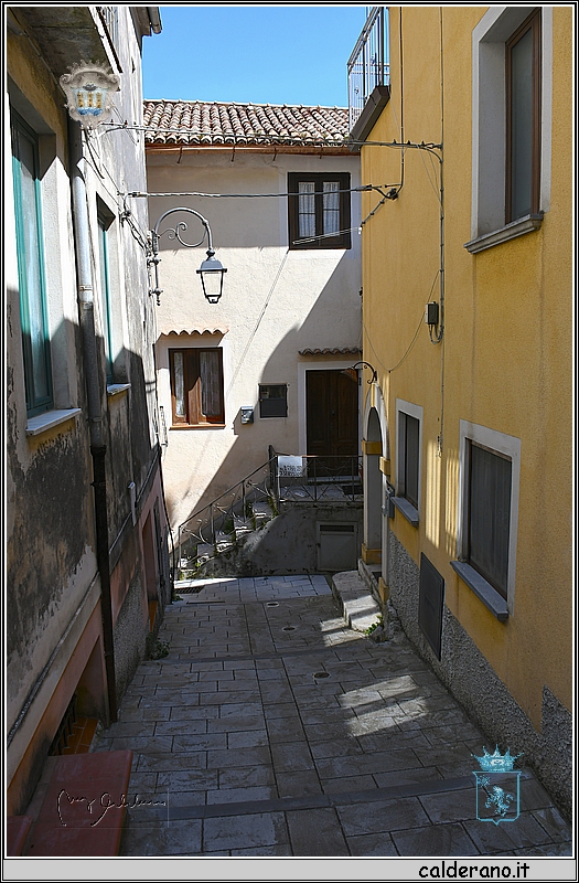19D_6521.jpg