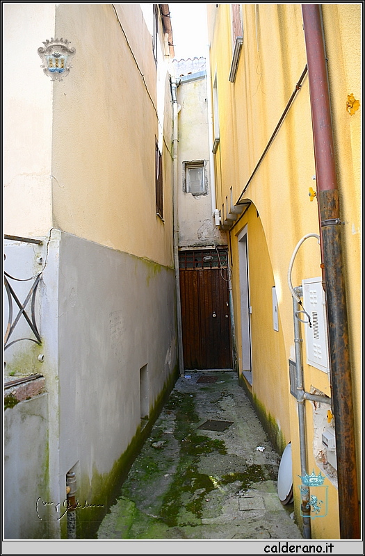 19D_6522.jpg