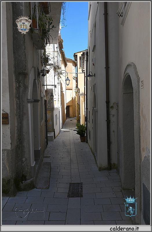 19D_6524.jpg