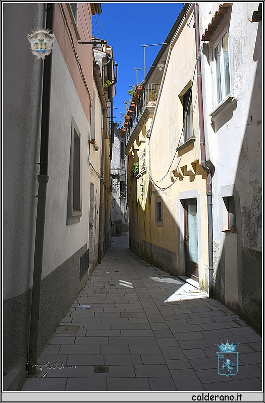 19D_6525.jpg