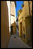 19D_6527.jpg
