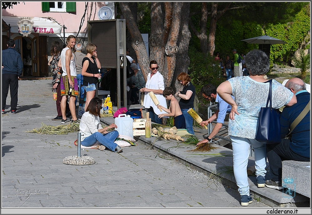 19D_6621.JPG