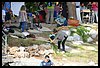 19D_6619.JPG