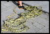 19D_6623.JPG