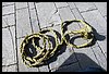 19D_6625.JPG