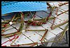 19D_6636.JPG