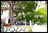19D_6651.JPG