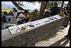 19D_6655.JPG