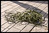 19D_6657.JPG