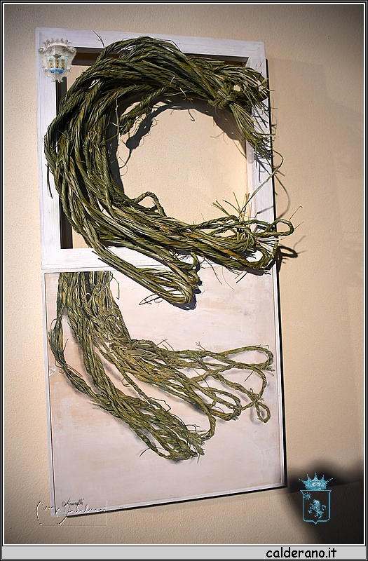 19D_6692.jpg