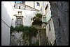 19D_6665.JPG