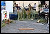 19D_6693.JPG