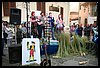 19D_6728.JPG