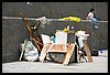 19E_8939.JPG