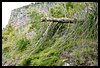 19E_7321.JPG