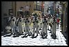 19E_7955.JPG