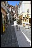 19E_9682.jpg
