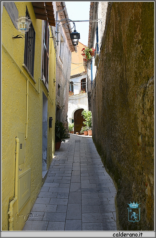 19E_9690.jpg
